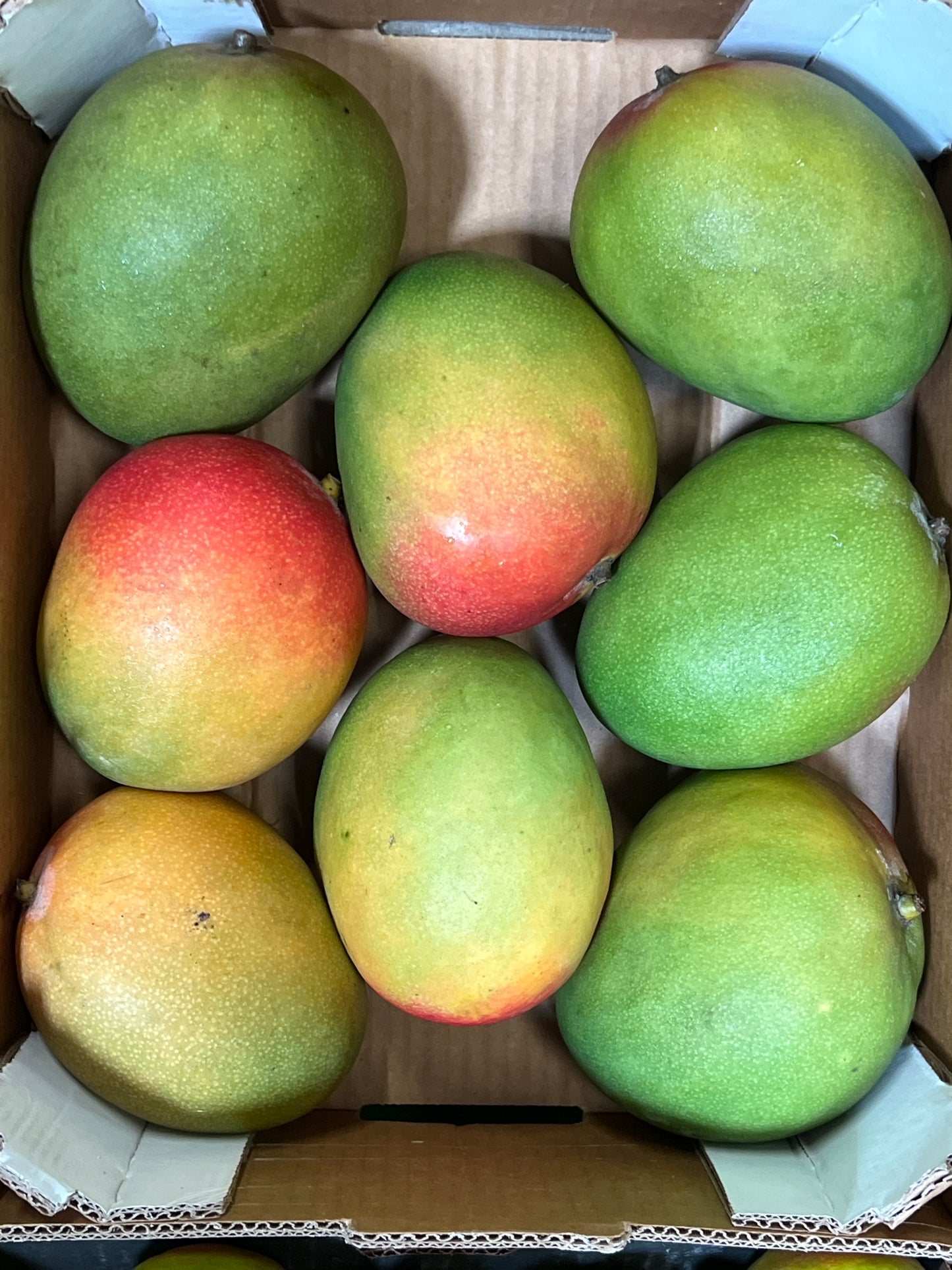 Mangue
