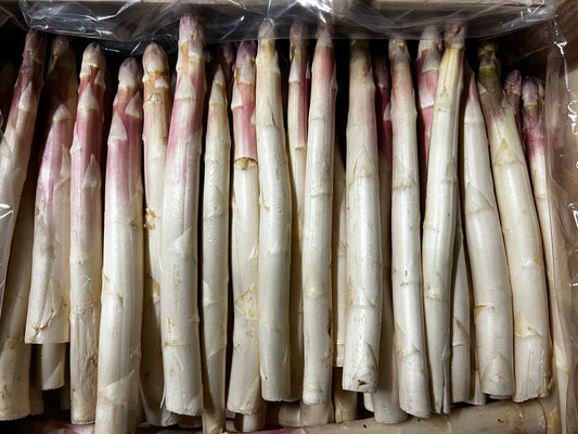 Asperge Violette