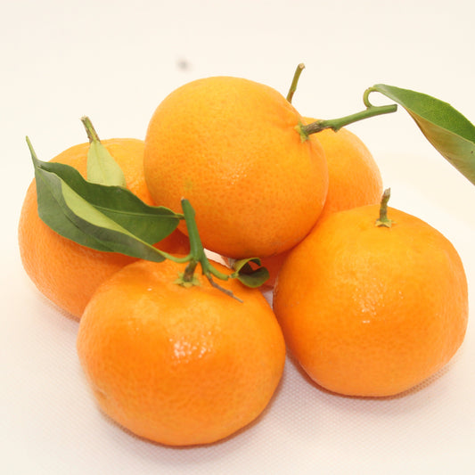 Clémentines