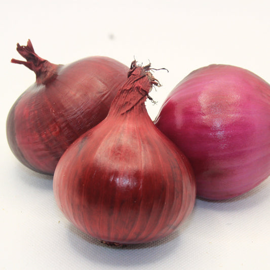 Oignons rouges