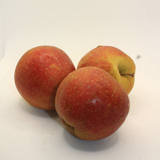 Boskoop
