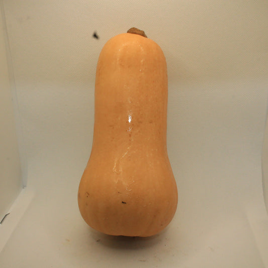 Butternuts