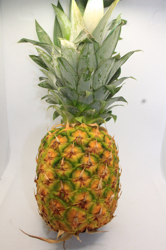 Ananas