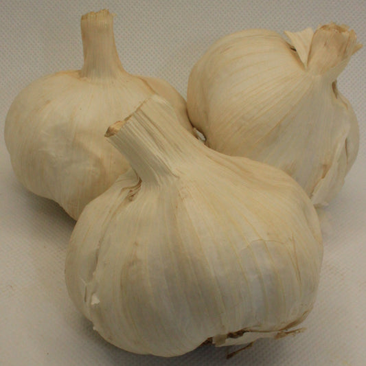 Ail Blanc
