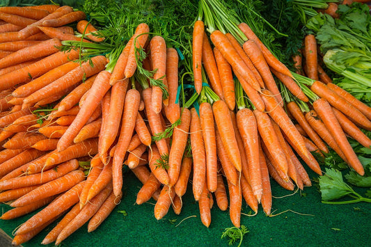Carottes Botte